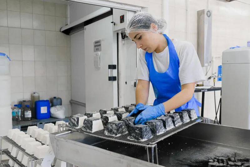 Wisconsin's Sleepiest Law: How Emergency Legislation Accidentally Criminalized Cheese Factory Naps